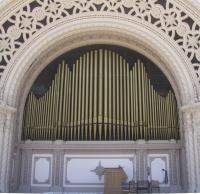 Organ�