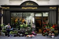 Blumenhaus�