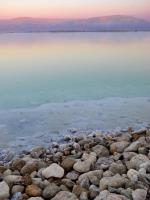 Dead Sea�