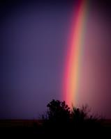 Rainbow�