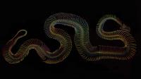 Serpentine�