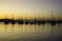 San Diego Dawn�