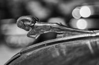 1939 Dodge Truck hood ornament. Taken during the Julian Apple Days Festival at the Volcan Mountain Winery.�